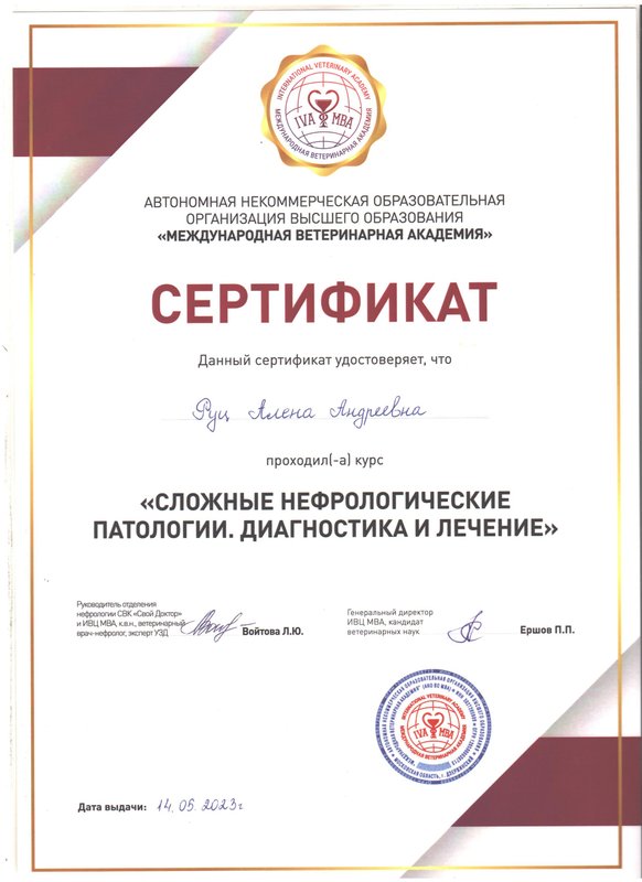 Документ или сертификат
