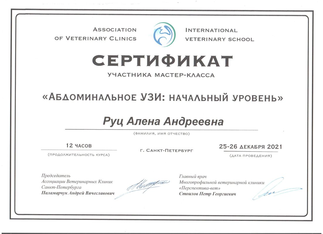 Документ или сертификат