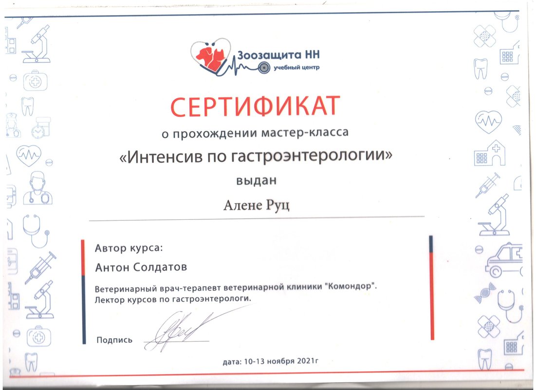 Документ или сертификат
