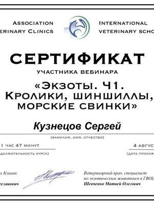Фото врача Кузнецов Сергей Николаевич