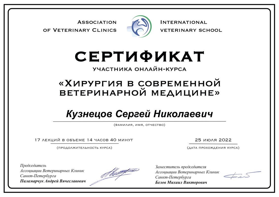 Документ или сертификат