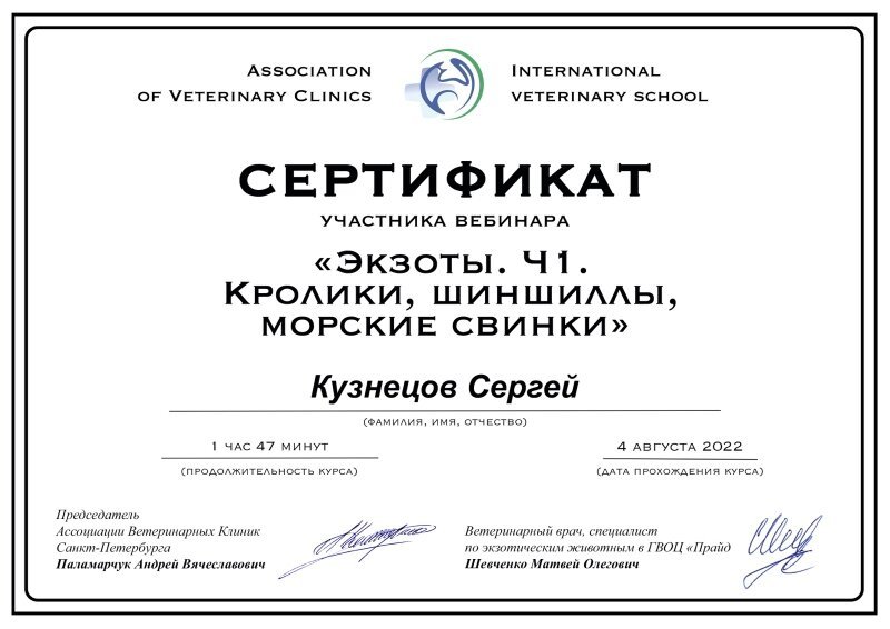 Документ или сертификат