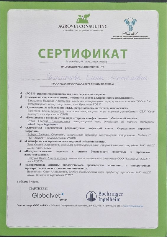 Документ или сертификат