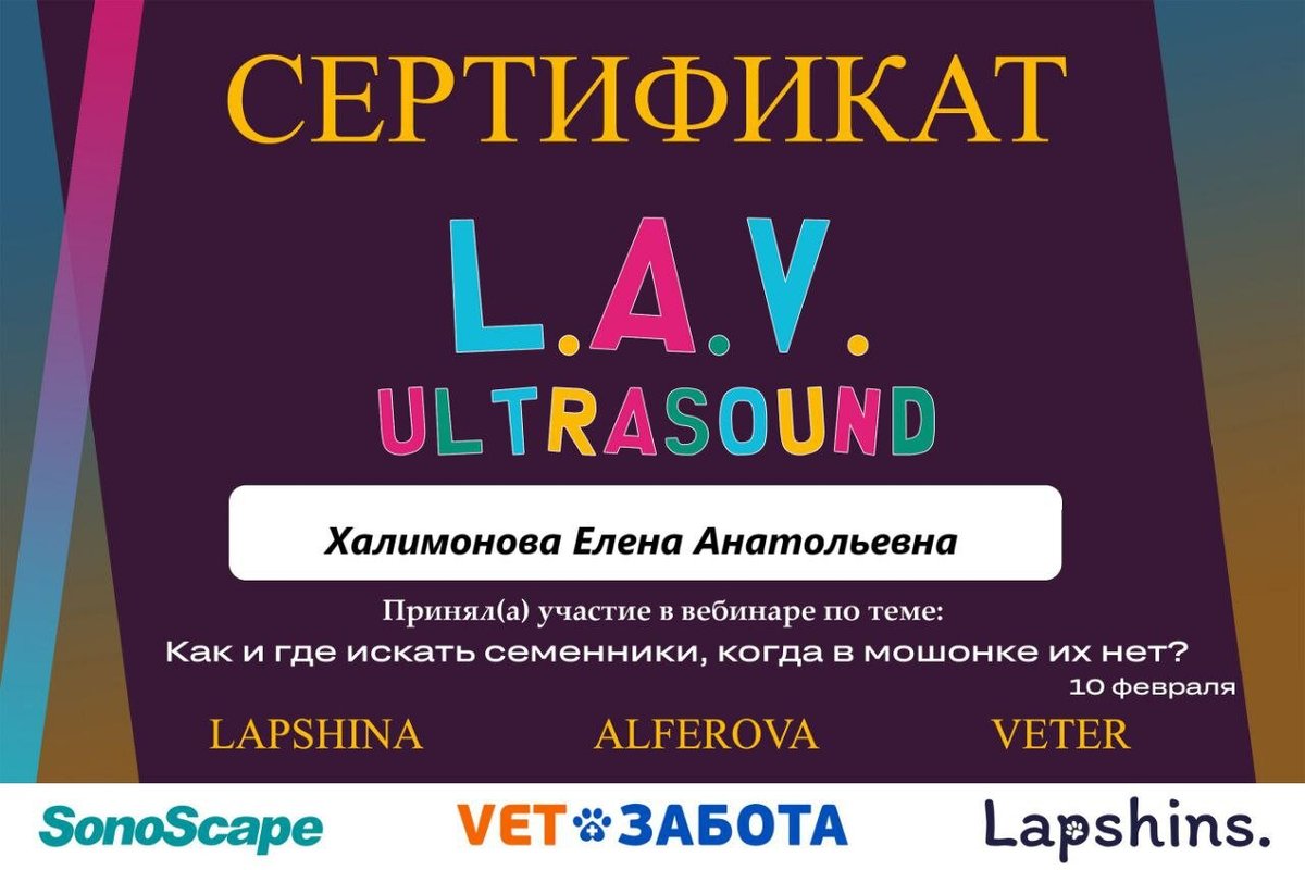 Документ или сертификат