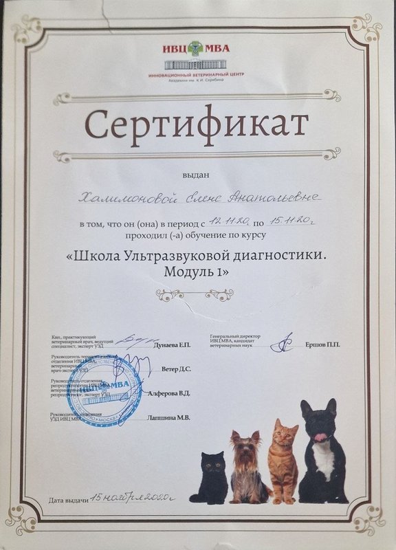 Документ или сертификат