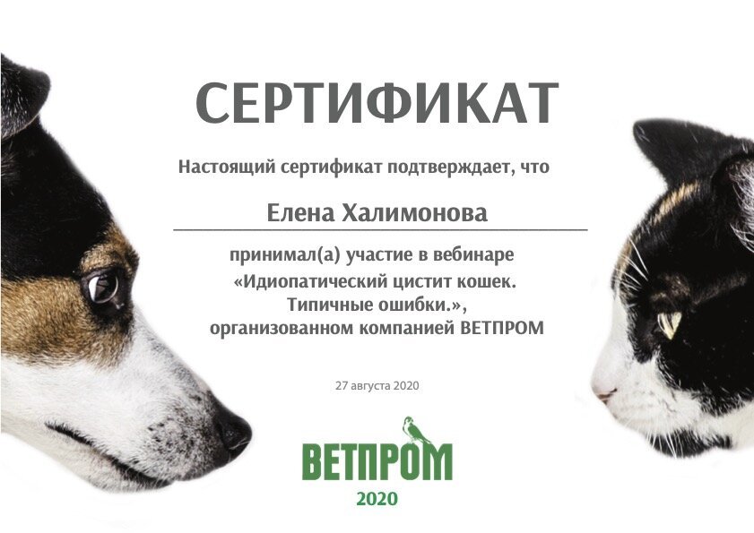 Документ или сертификат