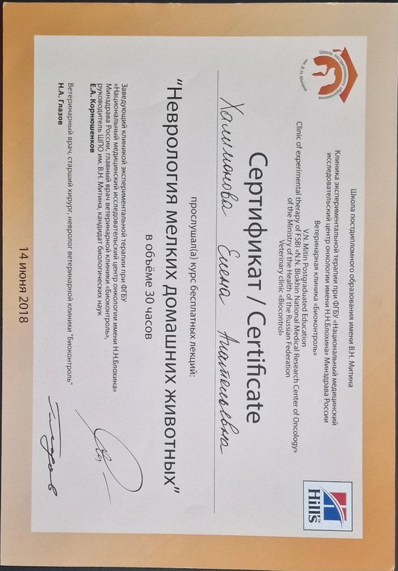 Документ или сертификат