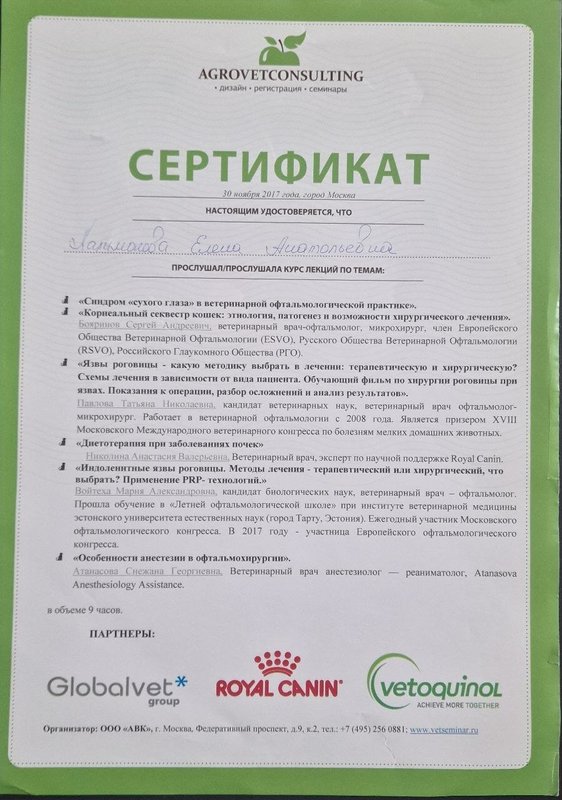 Документ или сертификат