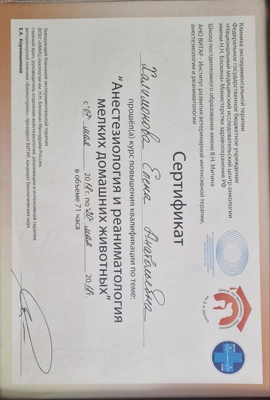 Документ или сертификат