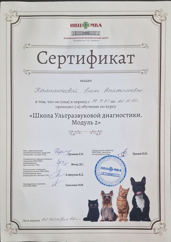 Документ или сертификат