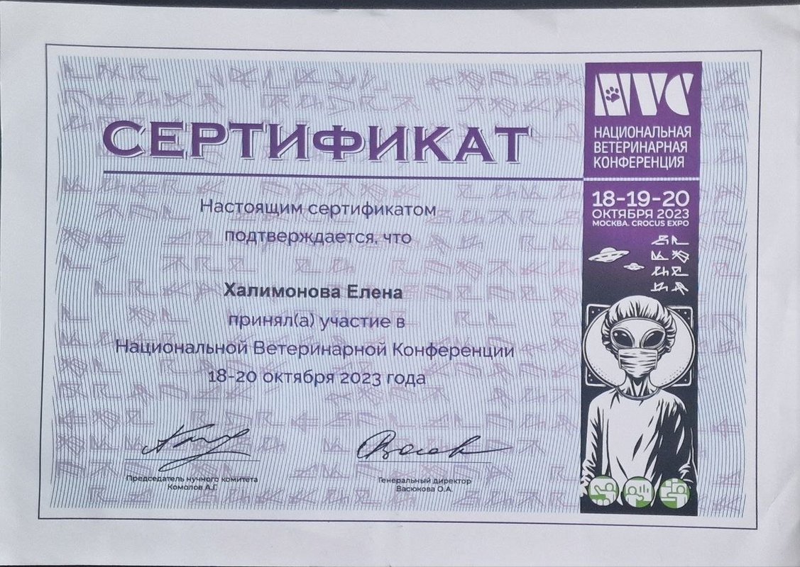 Документ или сертификат