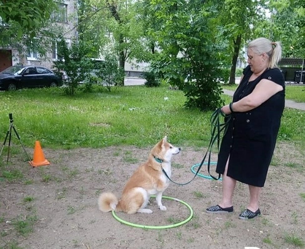Фото врача