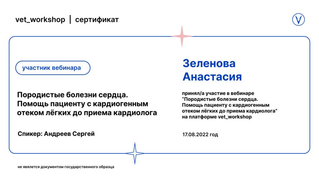 Документ или сертификат