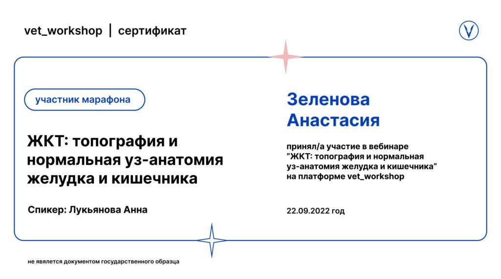 Документ или сертификат