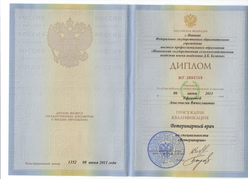 Документ или сертификат