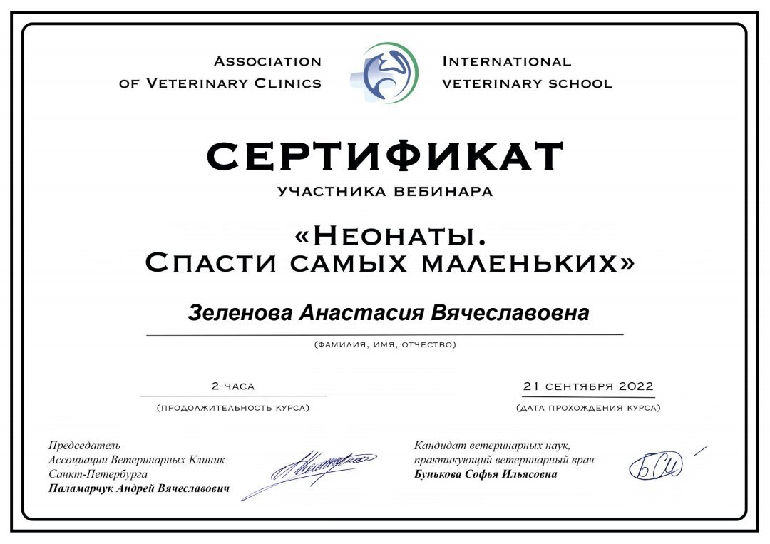 Документ или сертификат