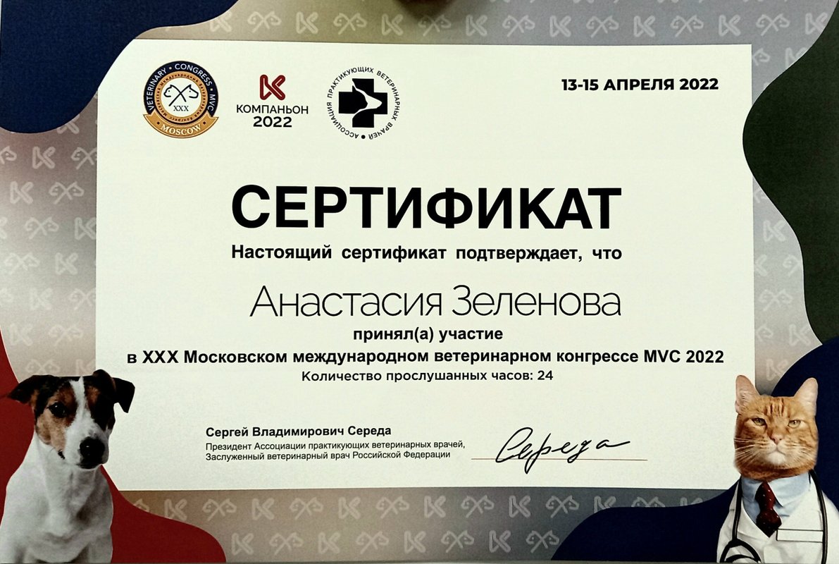 Документ или сертификат