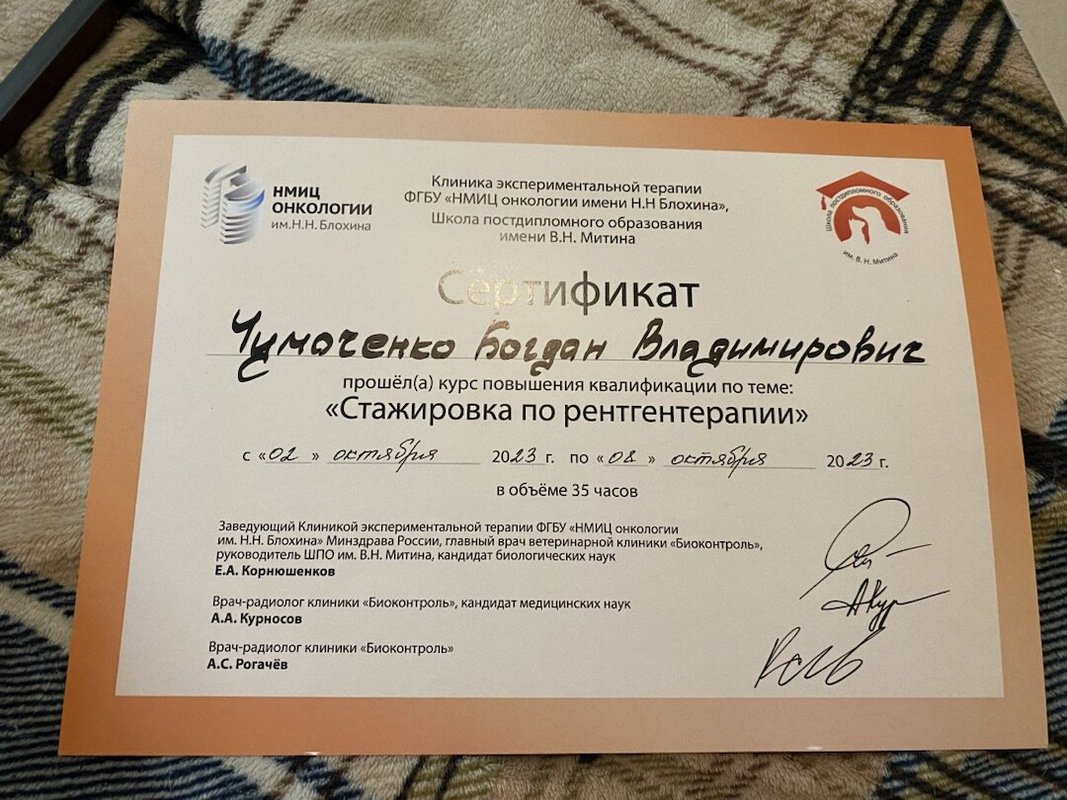 Документ или сертификат