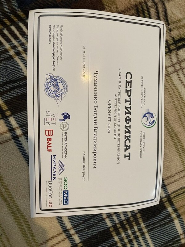 Документ или сертификат