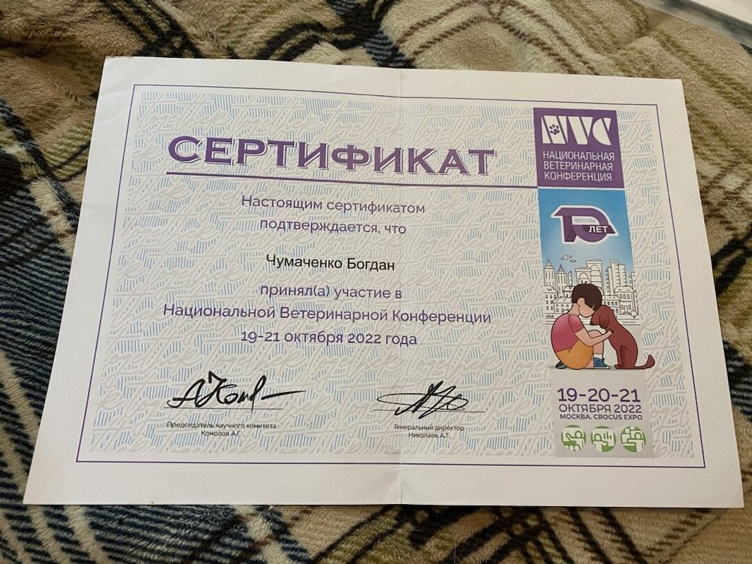 Документ или сертификат