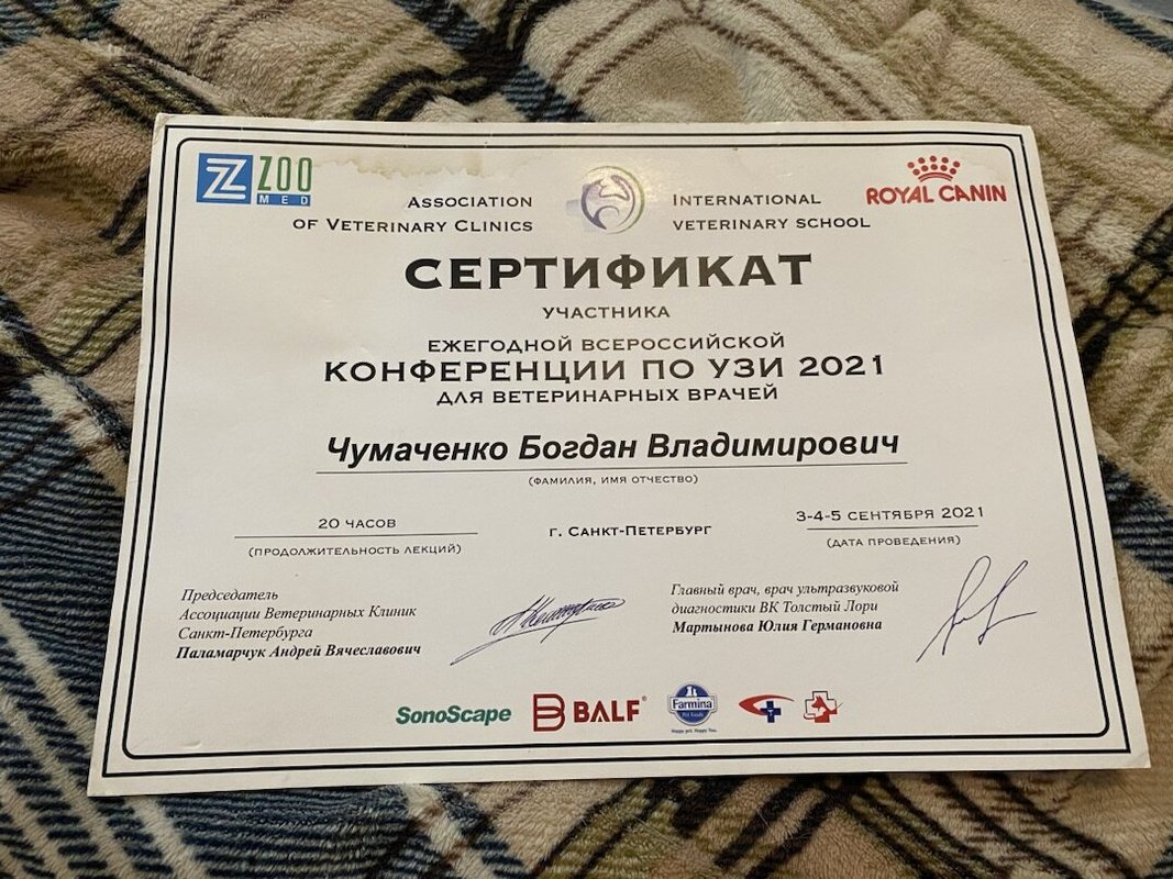 Документ или сертификат