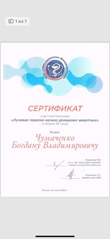 Документ или сертификат