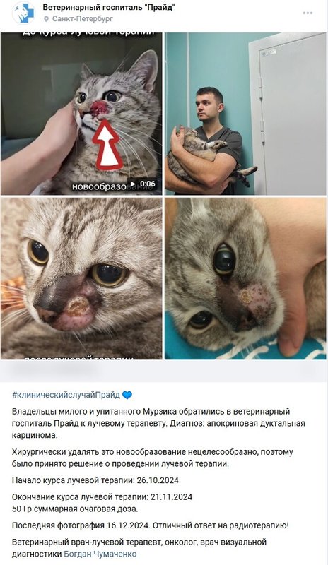 Фото врача