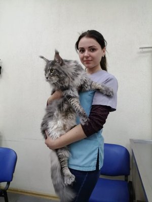 Фото врача Волкова Виктория Игоревна