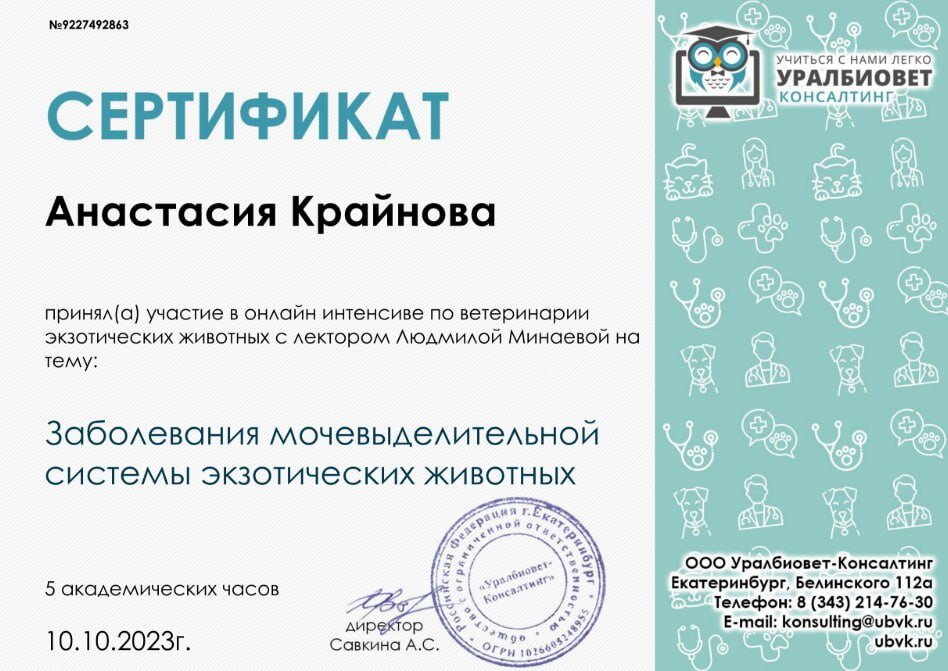 Документ или сертификат