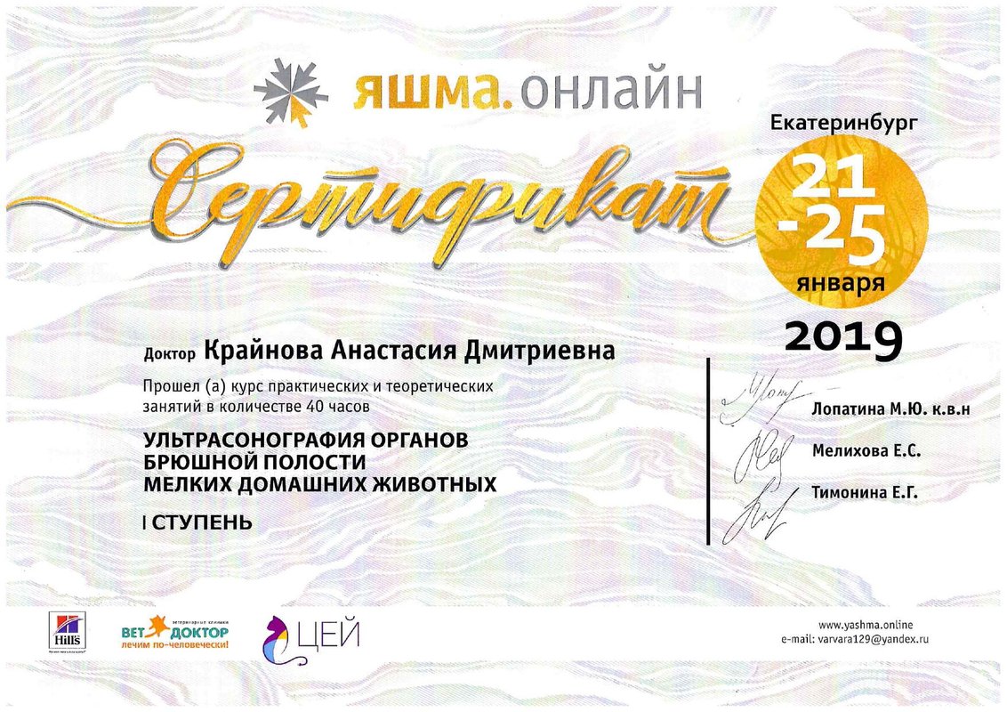 Документ или сертификат