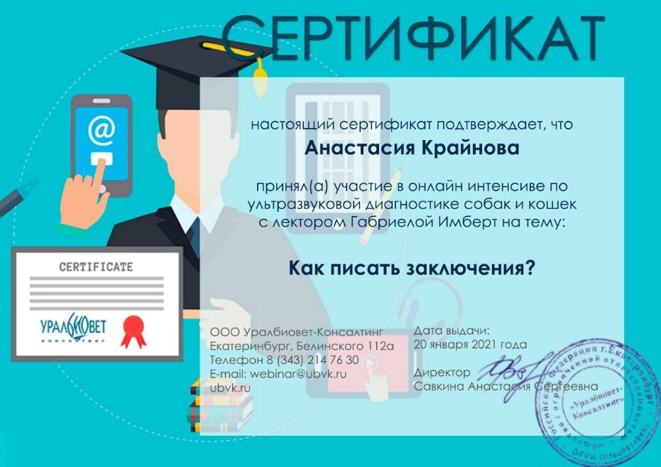Документ или сертификат