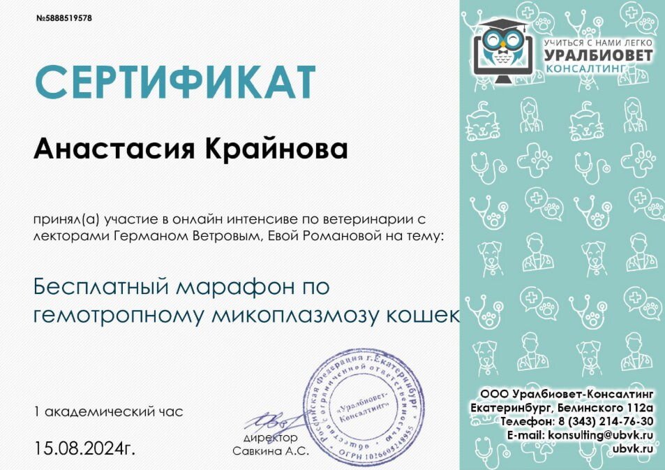 Документ или сертификат