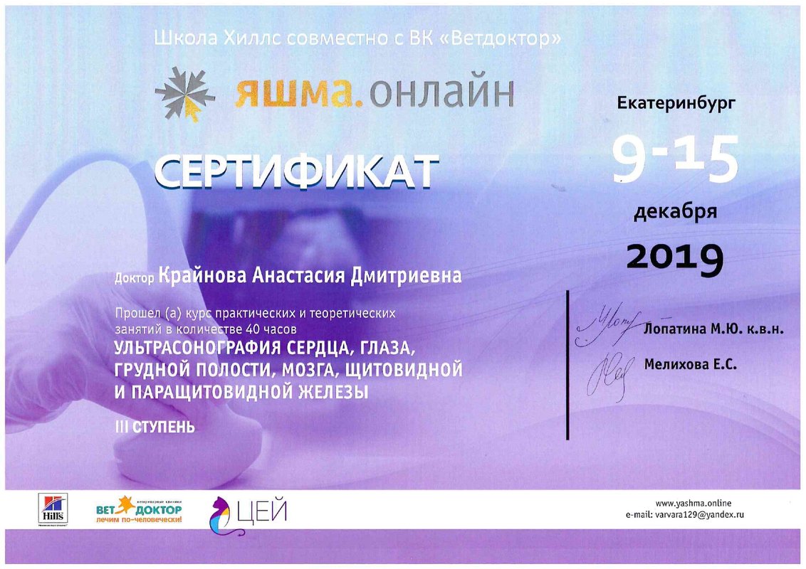 Документ или сертификат