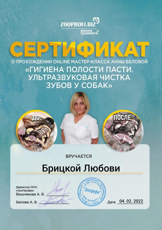 Документ или сертификат