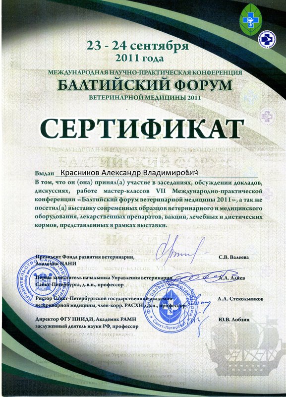 Документ или сертификат