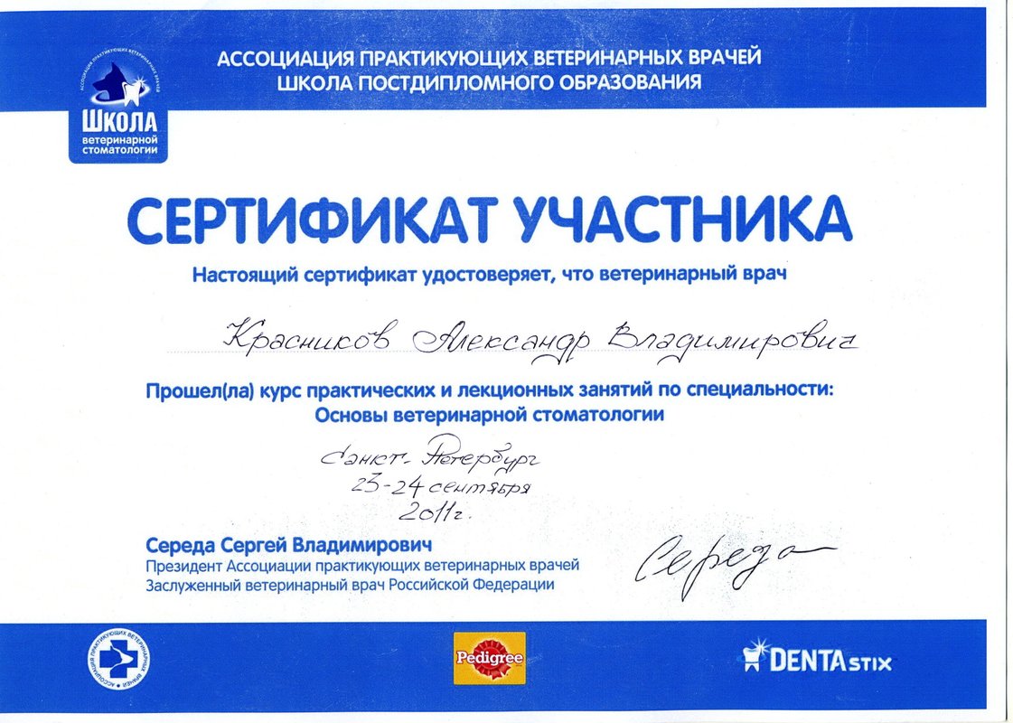 Документ или сертификат