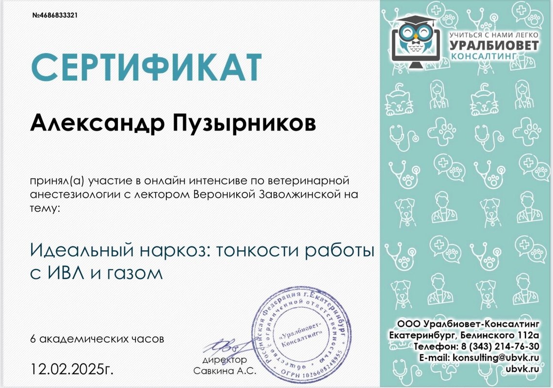 Документ или сертификат