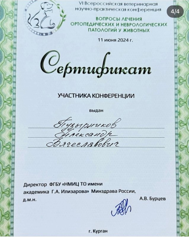 Документ или сертификат