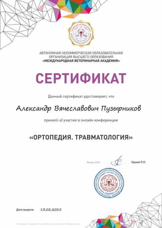Документ или сертификат