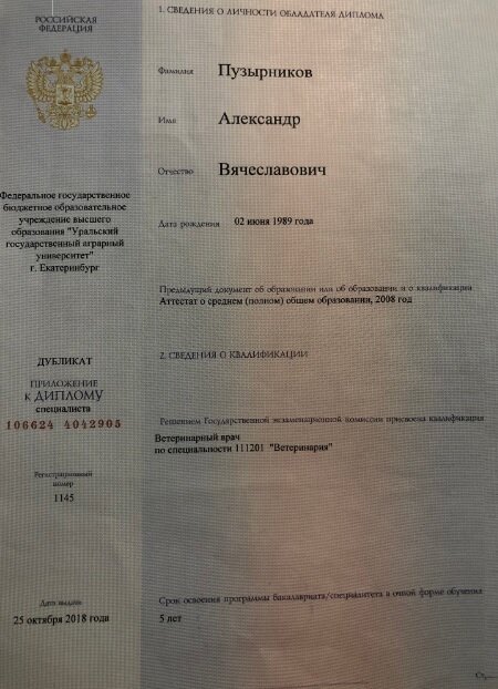Документ или сертификат
