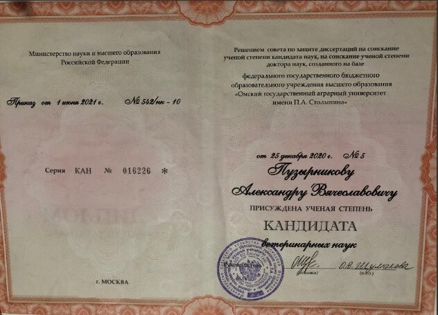 Документ или сертификат