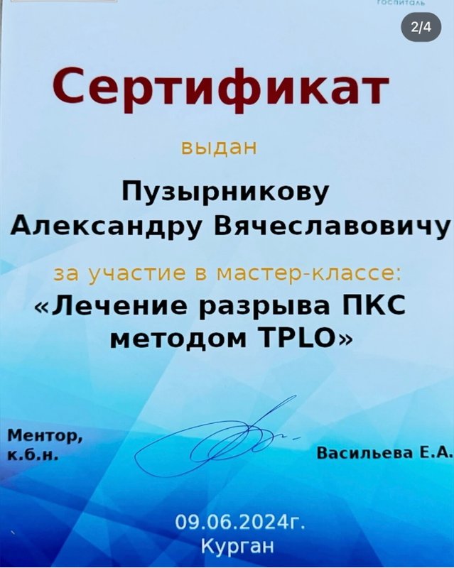 Документ или сертификат