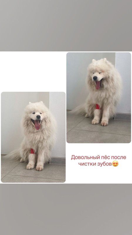 Фото врача