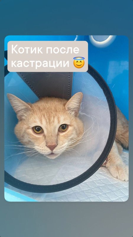 Фото врача