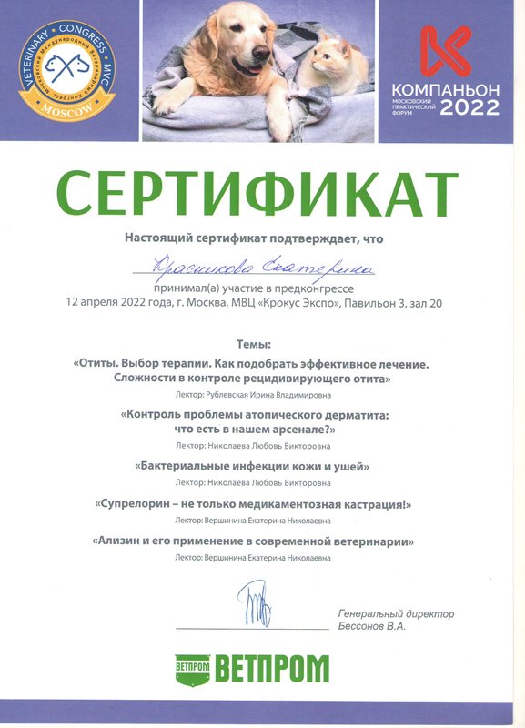 Документ или сертификат