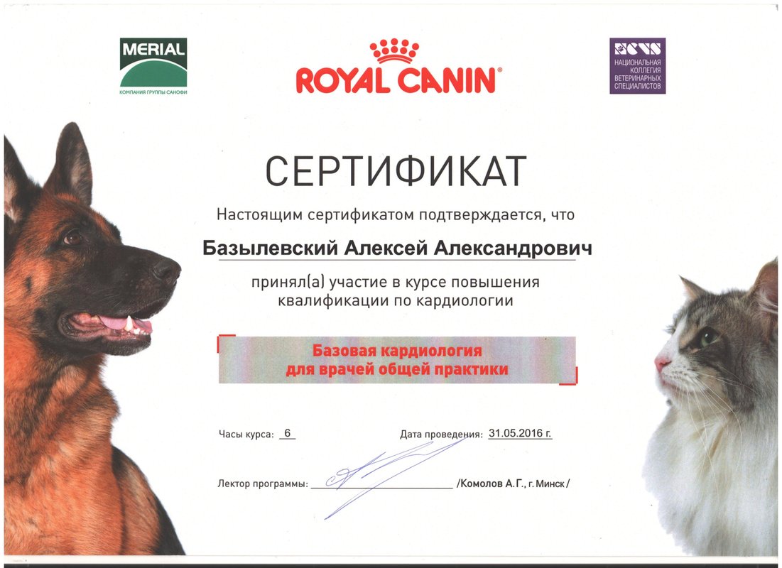Документ или сертификат