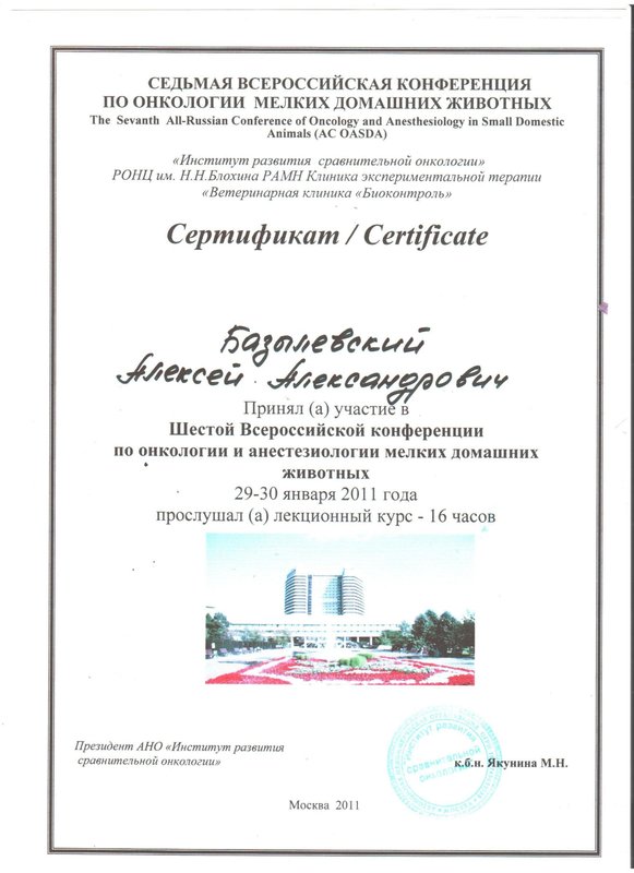 Документ или сертификат