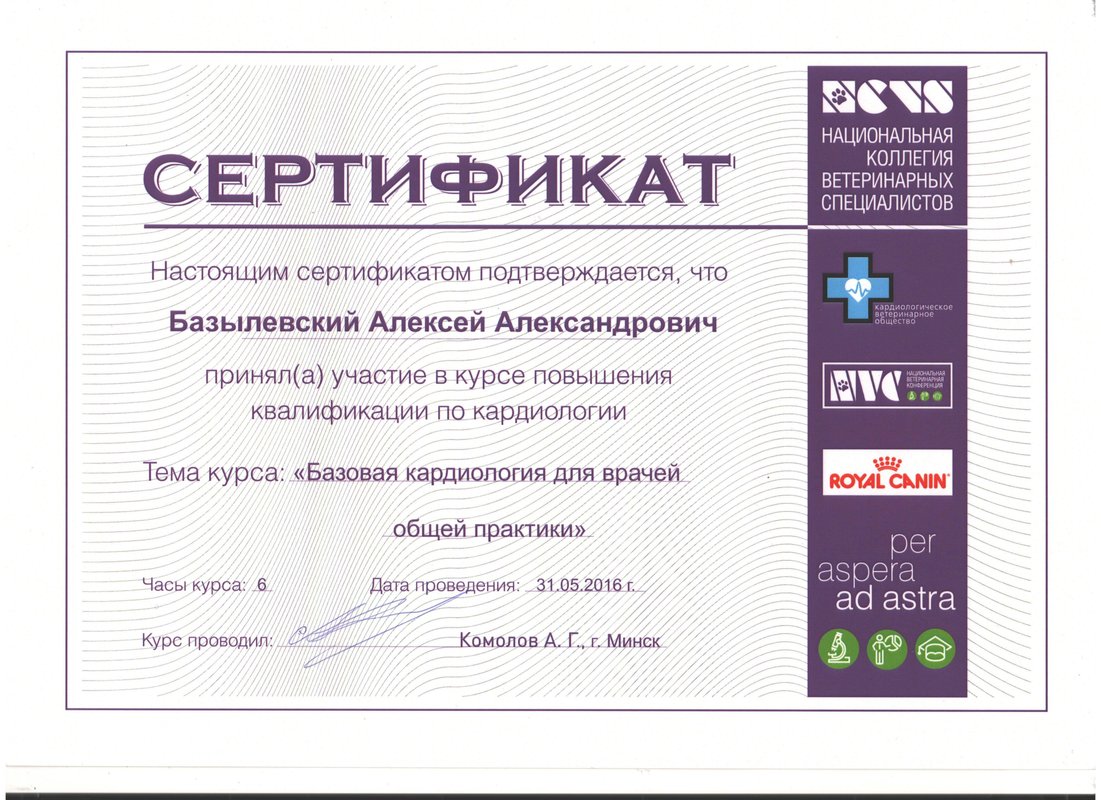 Документ или сертификат