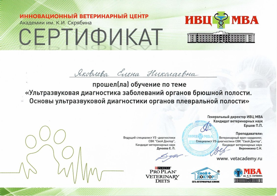 Документ или сертификат
