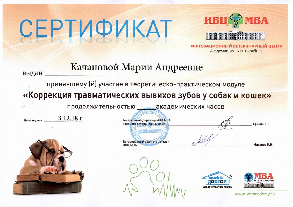 Документ или сертификат